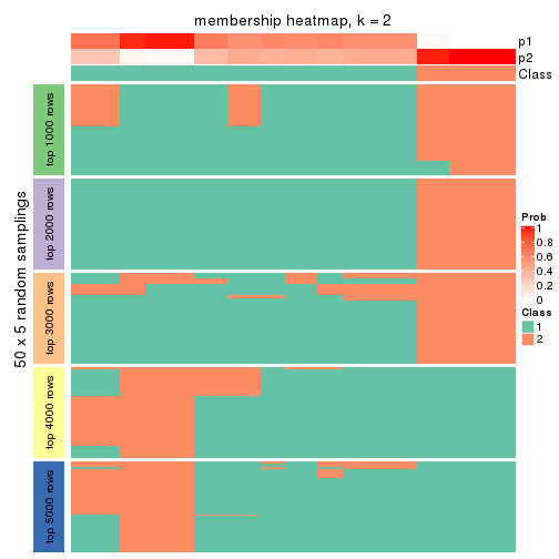 plot of chunk tab-MAD-mclust-membership-heatmap-1