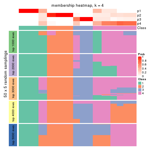 plot of chunk tab-MAD-mclust-membership-heatmap-3