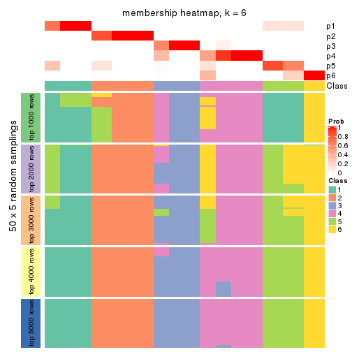 plot of chunk tab-MAD-mclust-membership-heatmap-5