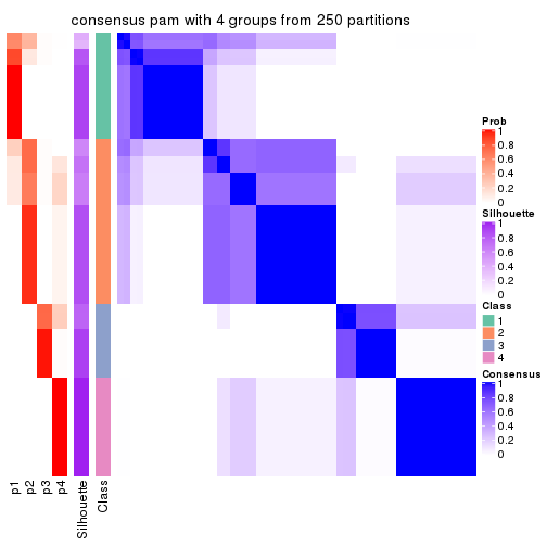 plot of chunk tab-MAD-pam-consensus-heatmap-3