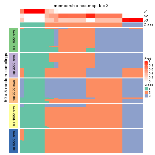 plot of chunk tab-MAD-pam-membership-heatmap-2