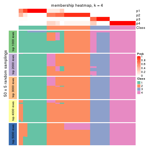 plot of chunk tab-MAD-pam-membership-heatmap-3