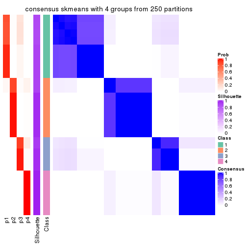 plot of chunk tab-MAD-skmeans-consensus-heatmap-3