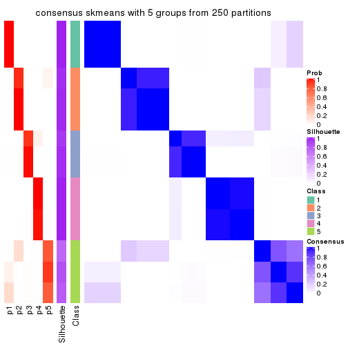 plot of chunk tab-MAD-skmeans-consensus-heatmap-4