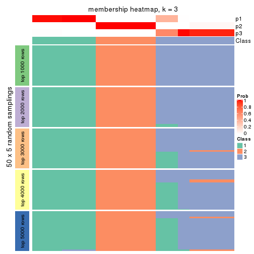 plot of chunk tab-MAD-skmeans-membership-heatmap-2