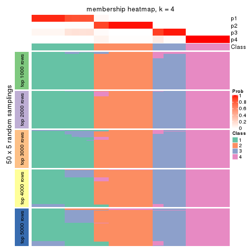 plot of chunk tab-MAD-skmeans-membership-heatmap-3