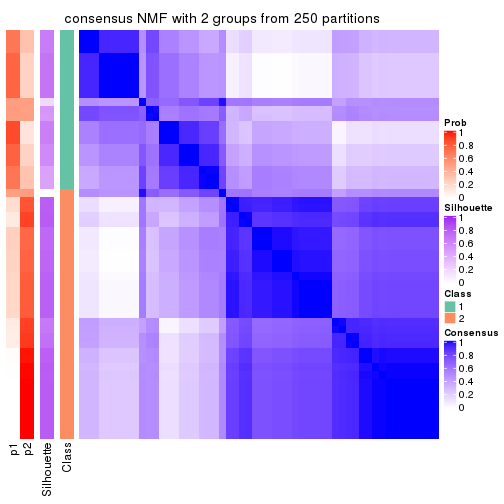 plot of chunk tab-SD-NMF-consensus-heatmap-1