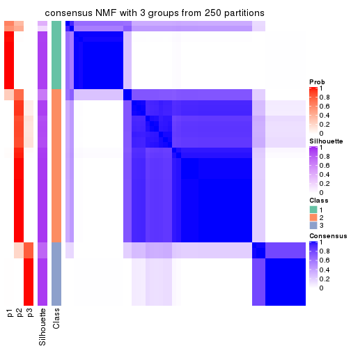 plot of chunk tab-SD-NMF-consensus-heatmap-2