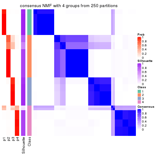 plot of chunk tab-SD-NMF-consensus-heatmap-3