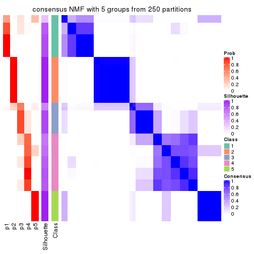 plot of chunk tab-SD-NMF-consensus-heatmap-4