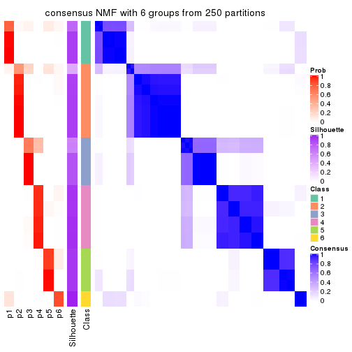 plot of chunk tab-SD-NMF-consensus-heatmap-5