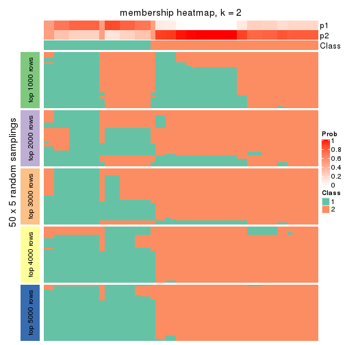 plot of chunk tab-SD-NMF-membership-heatmap-1