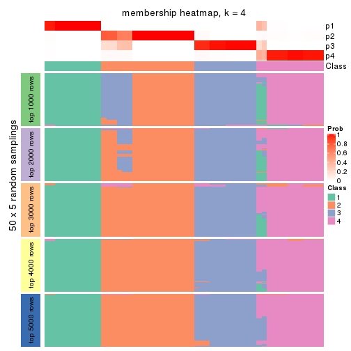 plot of chunk tab-SD-NMF-membership-heatmap-3