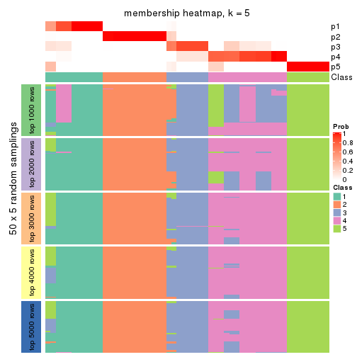 plot of chunk tab-SD-NMF-membership-heatmap-4