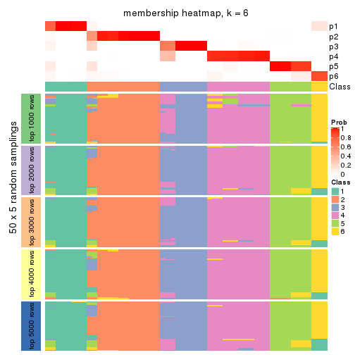 plot of chunk tab-SD-NMF-membership-heatmap-5