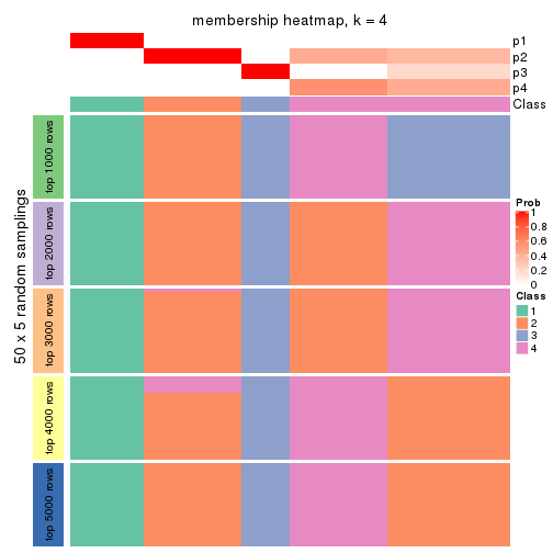 plot of chunk tab-SD-hclust-membership-heatmap-3