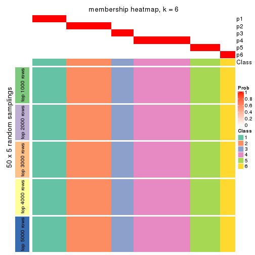 plot of chunk tab-SD-hclust-membership-heatmap-5