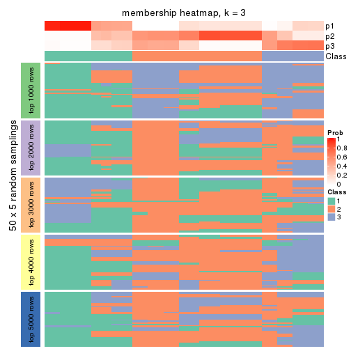 plot of chunk tab-SD-kmeans-membership-heatmap-2