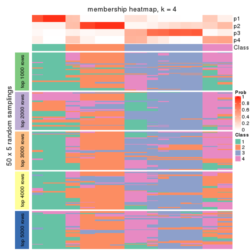 plot of chunk tab-SD-kmeans-membership-heatmap-3