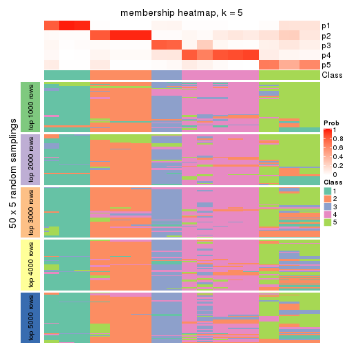 plot of chunk tab-SD-kmeans-membership-heatmap-4