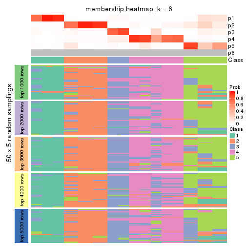 plot of chunk tab-SD-kmeans-membership-heatmap-5