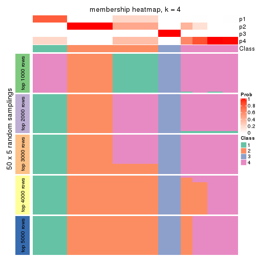 plot of chunk tab-SD-mclust-membership-heatmap-3