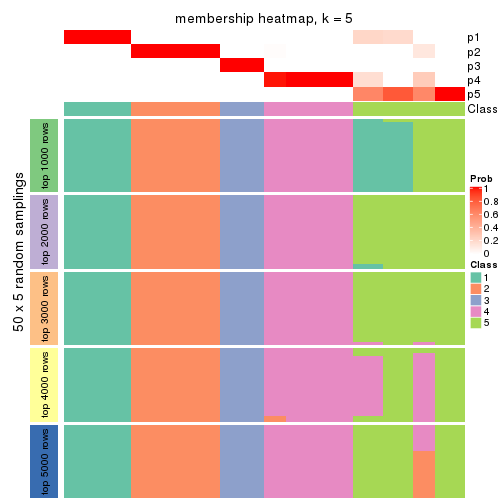 plot of chunk tab-SD-mclust-membership-heatmap-4