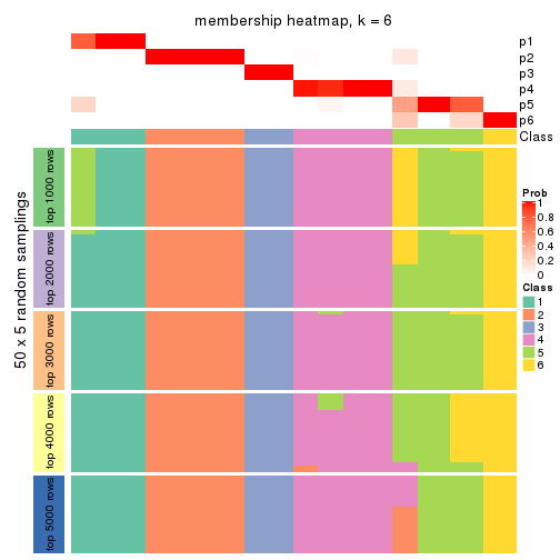 plot of chunk tab-SD-mclust-membership-heatmap-5