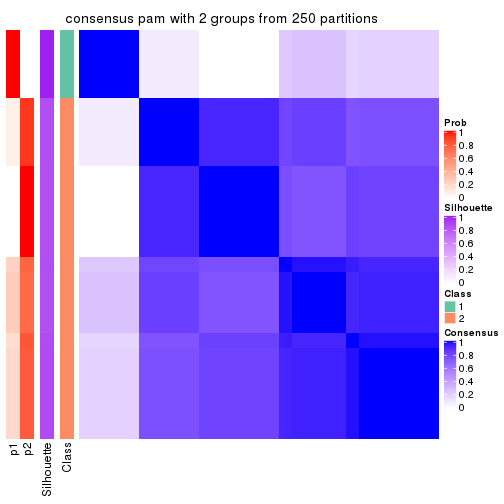 plot of chunk tab-SD-pam-consensus-heatmap-1