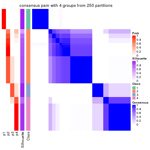 plot of chunk tab-SD-pam-consensus-heatmap-3