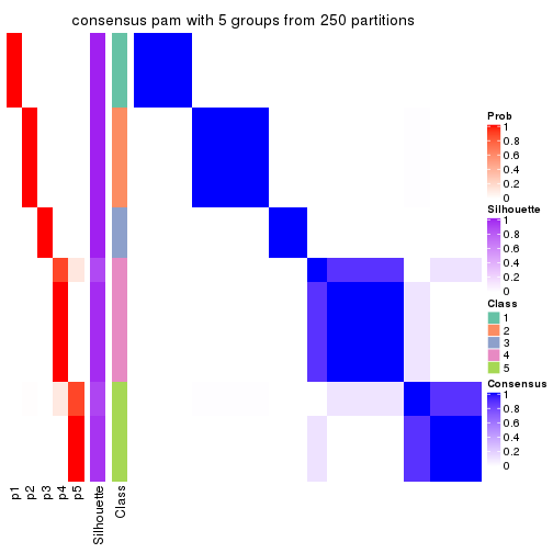 plot of chunk tab-SD-pam-consensus-heatmap-4