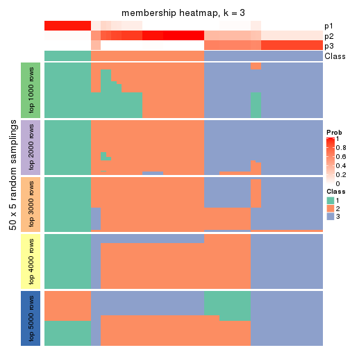 plot of chunk tab-SD-pam-membership-heatmap-2