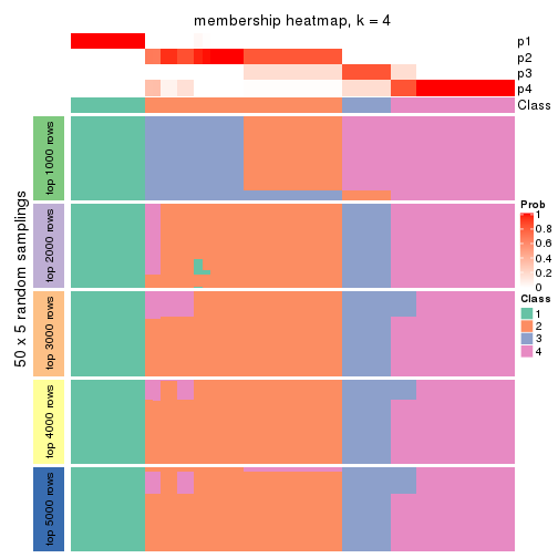 plot of chunk tab-SD-pam-membership-heatmap-3