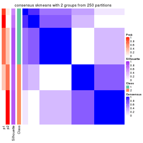 plot of chunk tab-SD-skmeans-consensus-heatmap-1