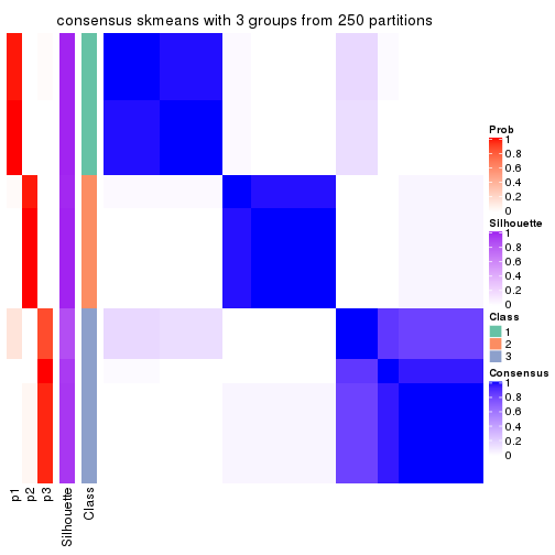 plot of chunk tab-SD-skmeans-consensus-heatmap-2