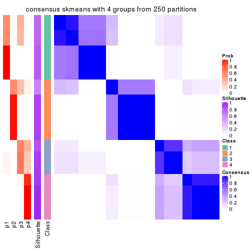 plot of chunk tab-SD-skmeans-consensus-heatmap-3