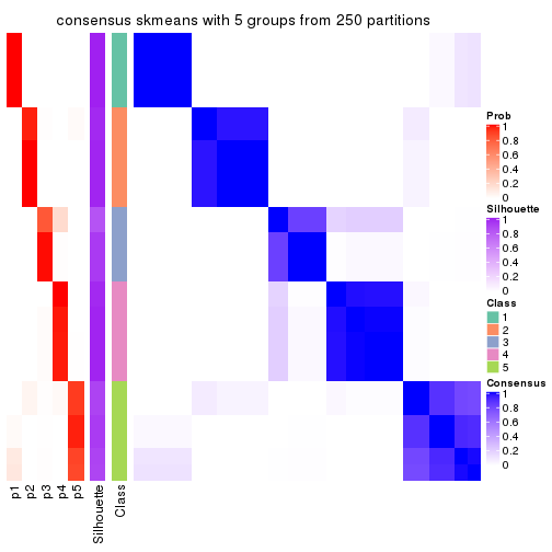 plot of chunk tab-SD-skmeans-consensus-heatmap-4