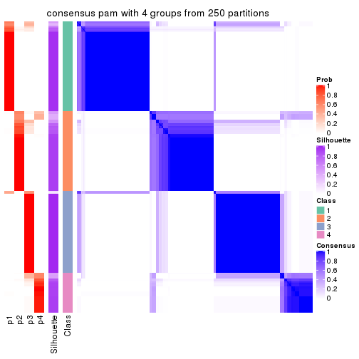 plot of chunk tab-CV-pam-consensus-heatmap-3