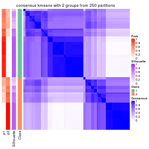 plot of chunk tab-SD-kmeans-consensus-heatmap-1
