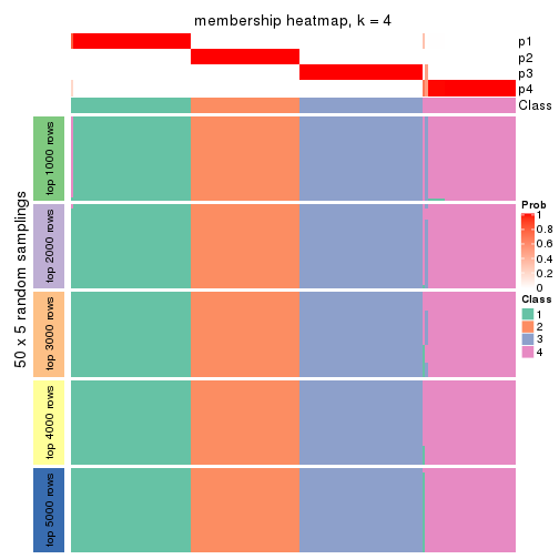 plot of chunk tab-ATC-pam-membership-heatmap-3