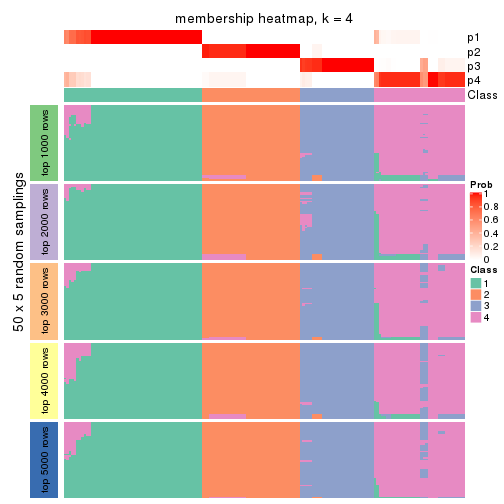 plot of chunk tab-SD-NMF-membership-heatmap-3