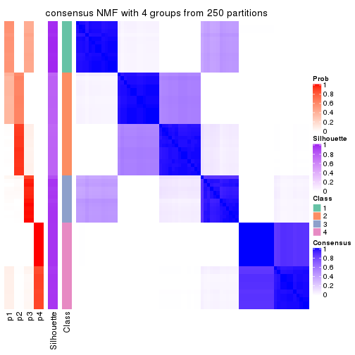 plot of chunk tab-CV-NMF-consensus-heatmap-3