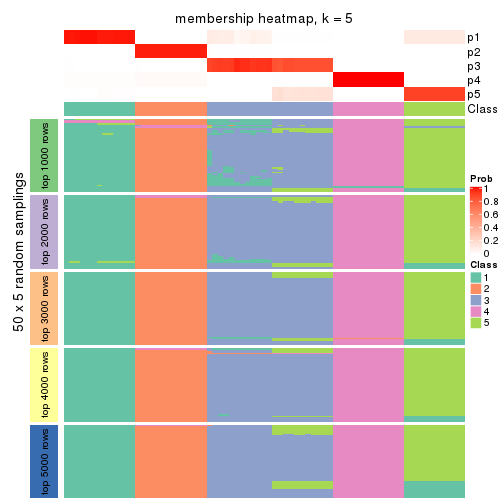 plot of chunk tab-MAD-NMF-membership-heatmap-4