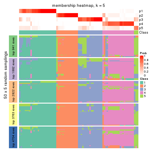 plot of chunk tab-SD-kmeans-membership-heatmap-4