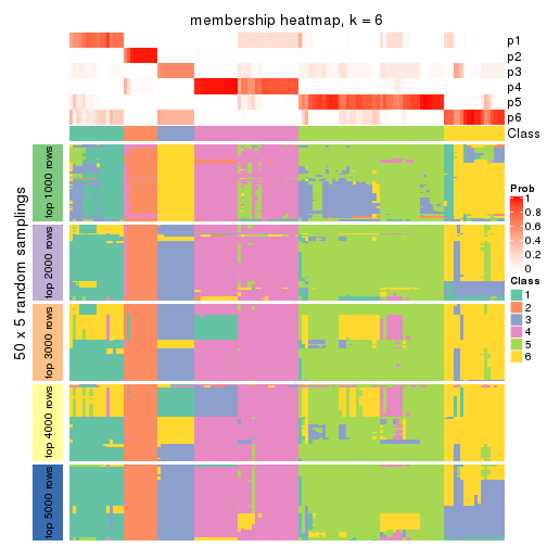 plot of chunk tab-ATC-mclust-membership-heatmap-5