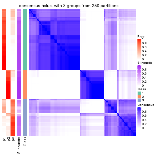 plot of chunk tab-MAD-hclust-consensus-heatmap-2