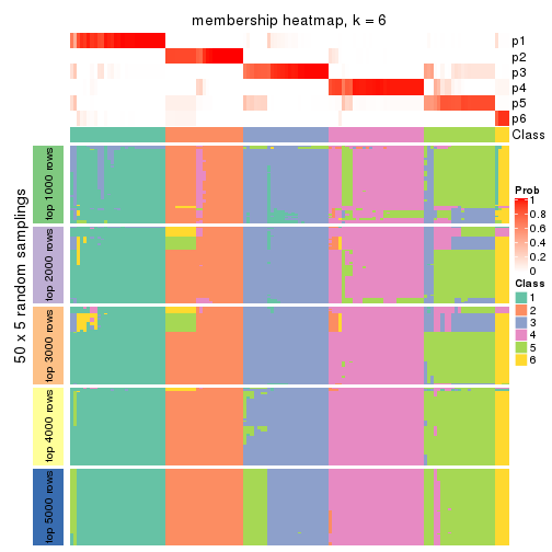 plot of chunk tab-MAD-mclust-membership-heatmap-5