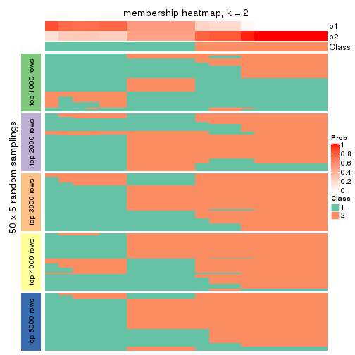 plot of chunk tab-CV-kmeans-membership-heatmap-1