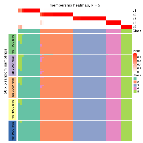 plot of chunk tab-CV-pam-membership-heatmap-4