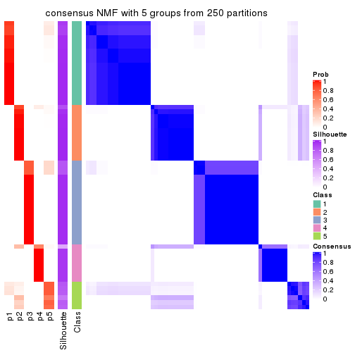plot of chunk tab-MAD-NMF-consensus-heatmap-4